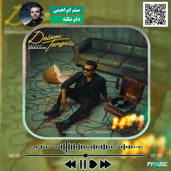 دانلود آهنگ دلم تنگته میثم ابراهیمی